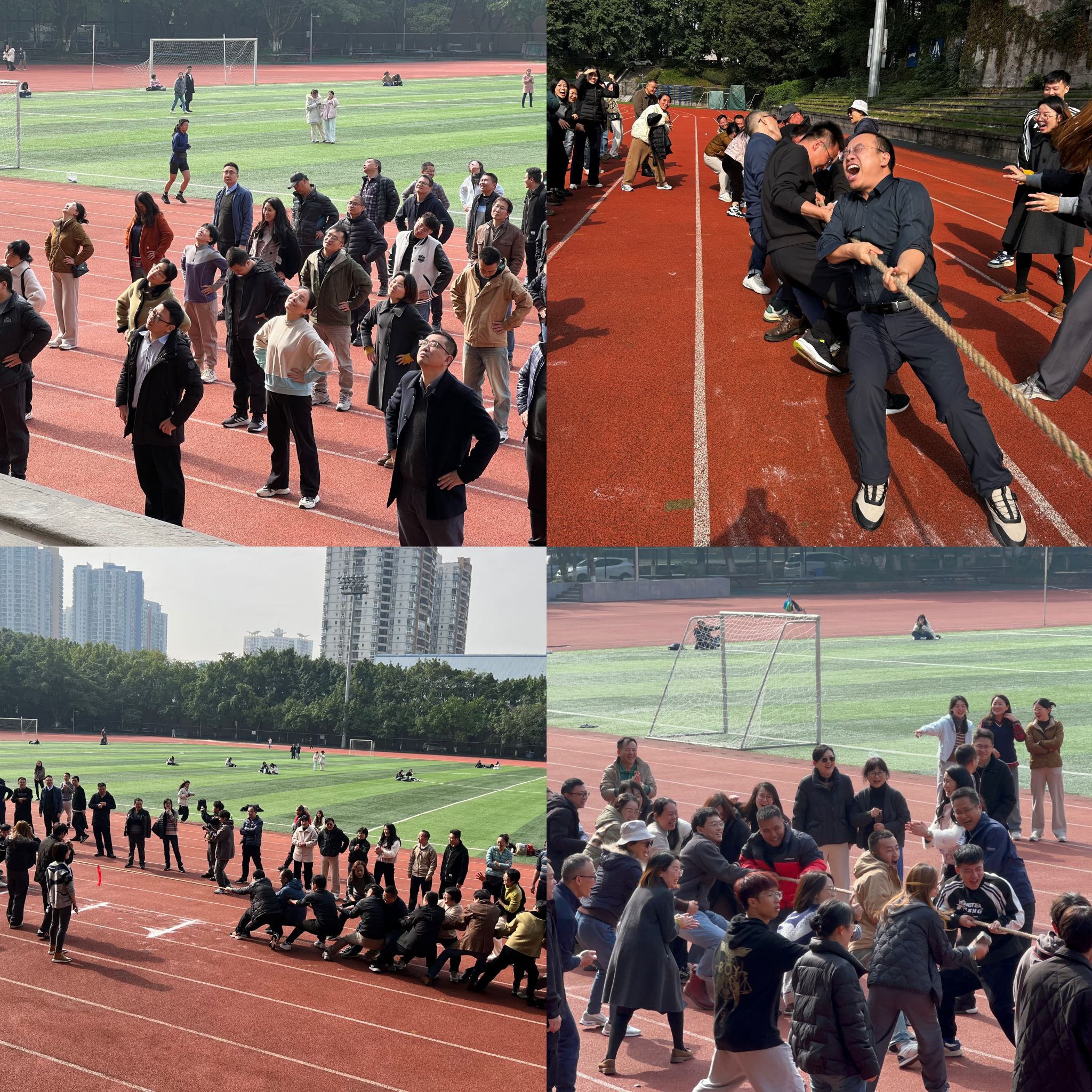 四张合成.jpg